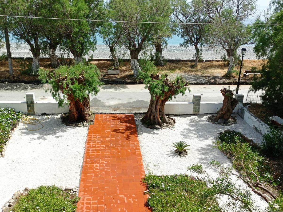 Zorbas Hotel Sougia Exterior photo