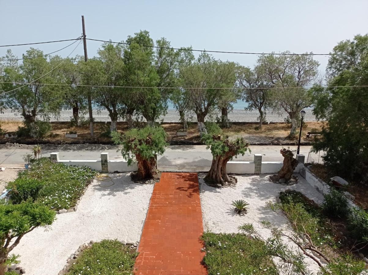 Zorbas Hotel Sougia Exterior photo