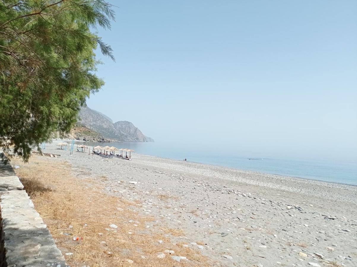 Zorbas Hotel Sougia Exterior photo