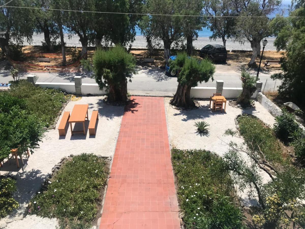Zorbas Hotel Sougia Exterior photo