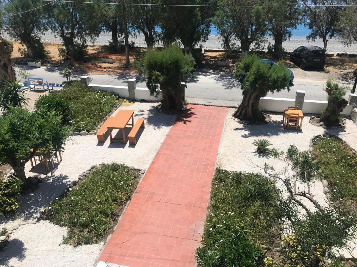 Zorbas Hotel Sougia Exterior photo