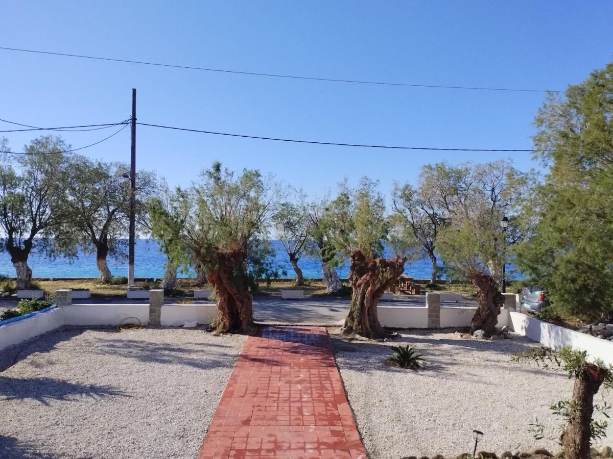 Zorbas Hotel Sougia Exterior photo