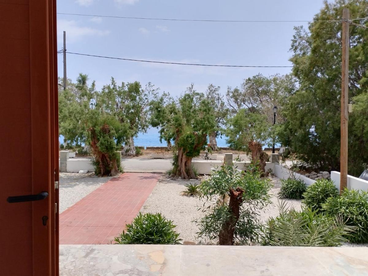 Zorbas Hotel Sougia Exterior photo