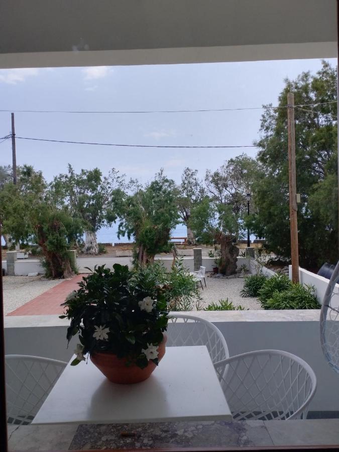 Zorbas Hotel Sougia Exterior photo