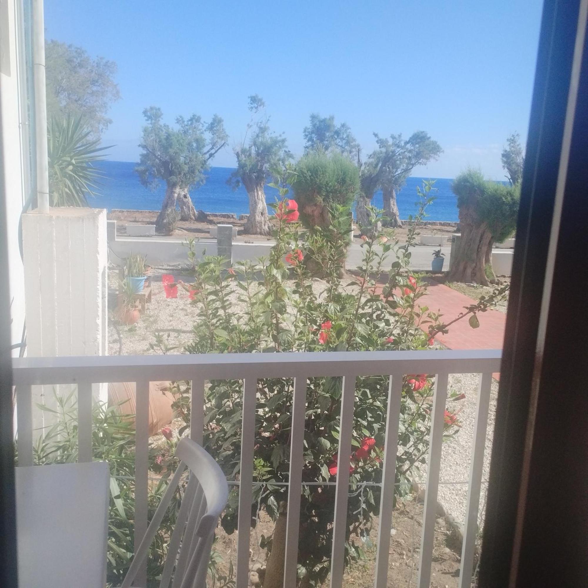 Zorbas Hotel Sougia Exterior photo